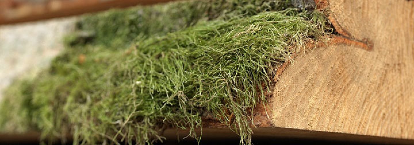 Как мы делаем хороший паркет в компании Интэкс